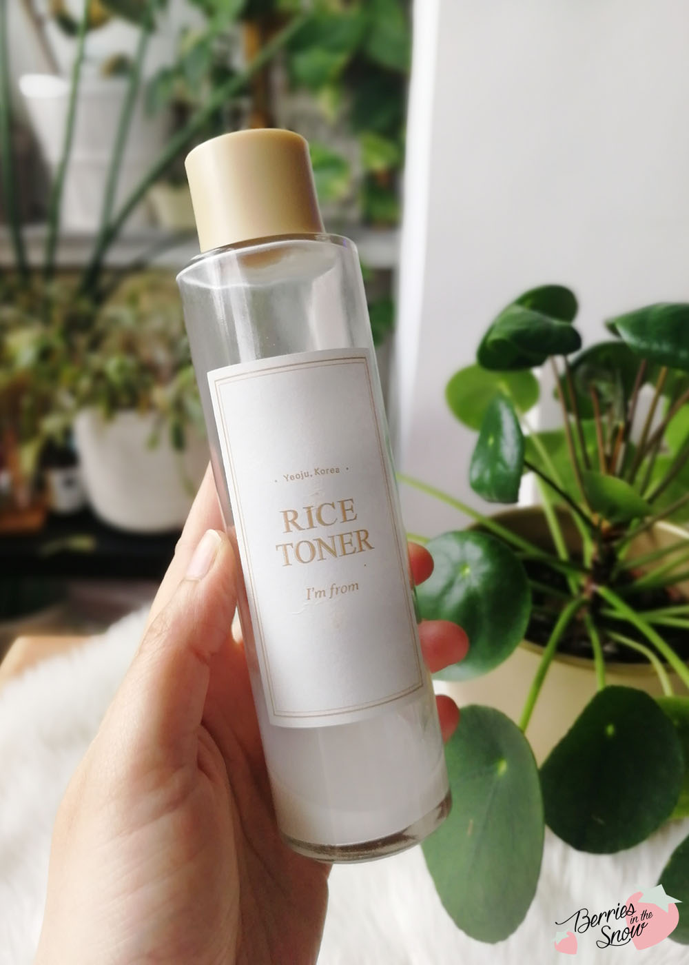 Cruelty-free Skincare Favorites from Wishtrend