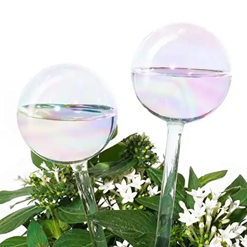 Plant Watering Globes