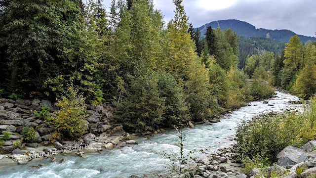 Mountain and forest stream in British Columbia