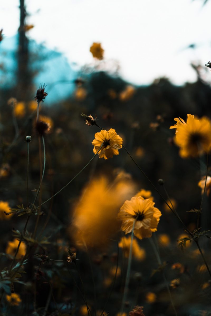 What is toxic positivity and why is it problematic?