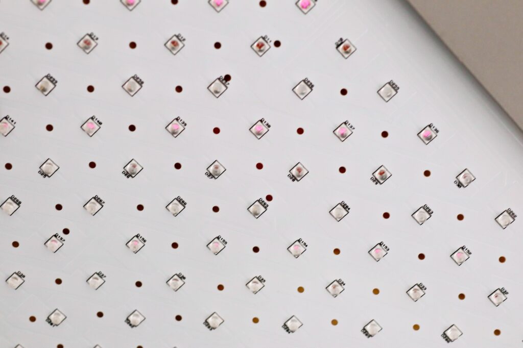 Dermalux Flex MD LEDs