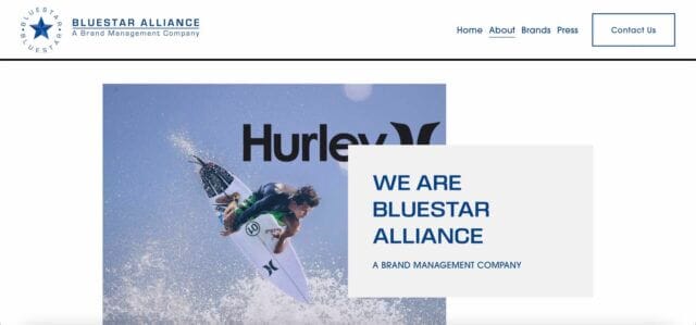 Screenshot from Bluestar Alliance website